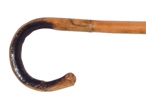 36" Bamboo Cane