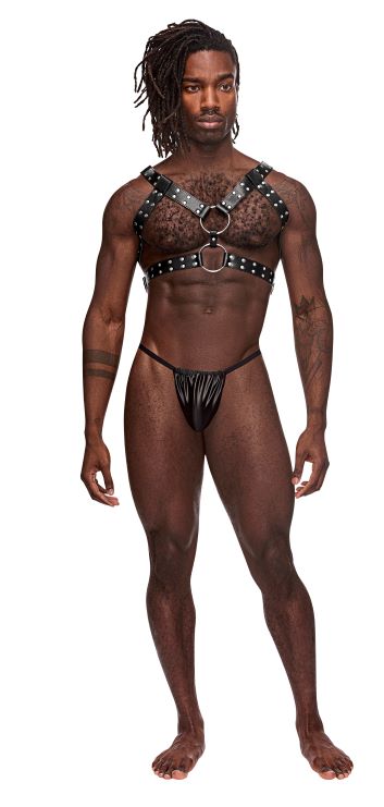 Gemini Leather Harness (one size)