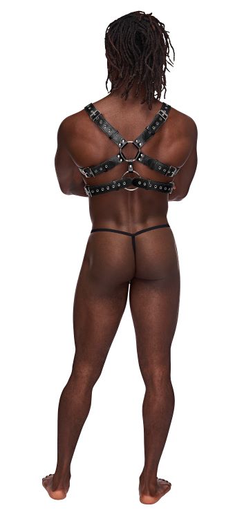 Gemini Leather Harness (one size)
