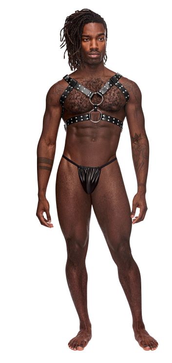 Gemini Leather Harness (one size)