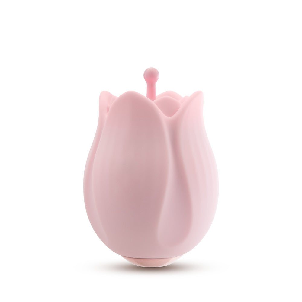 Pink rosebud silicone vibrator with 10 modes, 3 textured attachments, splashproof, USB rechargeable, and perfect for clitoral and nipple play.

Rose vibrator, silicone rose vibrator, rosebud attachments, clitoral stimulation, nipple stimulation, 10 vibration modes, USB rechargeable vibrator, splashproof massager, body-safe silicone, discreet vibrator, travel-friendly vibrator