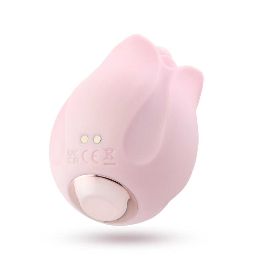 Pink rosebud silicone vibrator with 10 modes, 3 textured attachments, splashproof, USB rechargeable, and perfect for clitoral and nipple play.

Rose vibrator, silicone rose vibrator, rosebud attachments, clitoral stimulation, nipple stimulation, 10 vibration modes, USB rechargeable vibrator, splashproof massager, body-safe silicone, discreet vibrator, travel-friendly vibrator