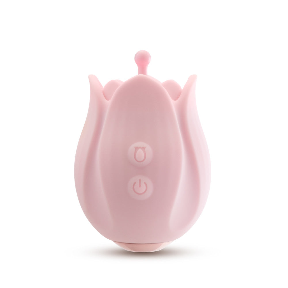 Pink rosebud silicone vibrator with 10 modes, 3 textured attachments, splashproof, USB rechargeable, and perfect for clitoral and nipple play.

Rose vibrator, silicone rose vibrator, rosebud attachments, clitoral stimulation, nipple stimulation, 10 vibration modes, USB rechargeable vibrator, splashproof massager, body-safe silicone, discreet vibrator, travel-friendly vibrator