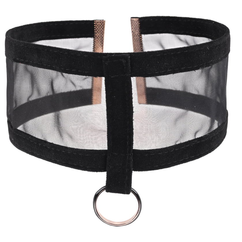 Sheer mesh BDSM collar with velvet ribbon, black and gold ring, and adjustable lobster claw closure. Keywords: sheer day collar, BDSM day collar, velvet ribbon collar, adjustable BDSM collar, discreet submissive wear, black and gold collar, sheer mesh necklace, submission collar, fetish accessories, BDSM fashion.