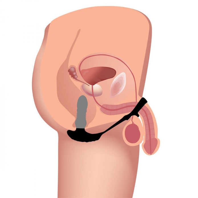 10X Thrusting Silicone Vibrator with Cock & Ball Strap, remote-controlled, black, waterproof, rechargeable, body-safe silicone.

thrusting butt plug, cock ring with vibrator, Thunderplug, anal and cock strap toy, vibrating anal plug, rechargeable anal toy, waterproof vibrator, silicone butt plug, thrusting anal toy, vibrating cock ring.